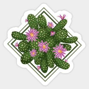 Blooming cactus Sticker